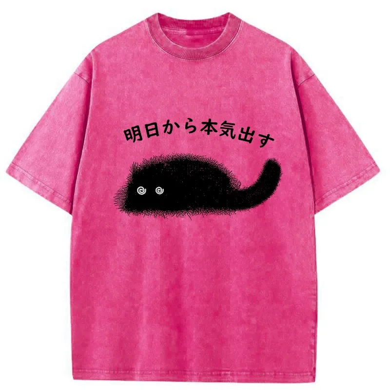 Tokyo-Tiger I'll Get Serious From Tomorrow Washed T-Shirt