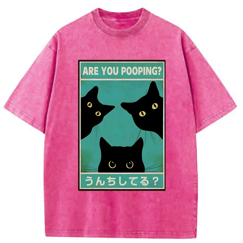Tokyo-Tiger Cats Watching You Poop Washed T-Shirt