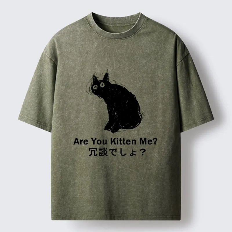 Tokyo-Tiger Are You Kitten Me Pun Art Washed T-Shirt