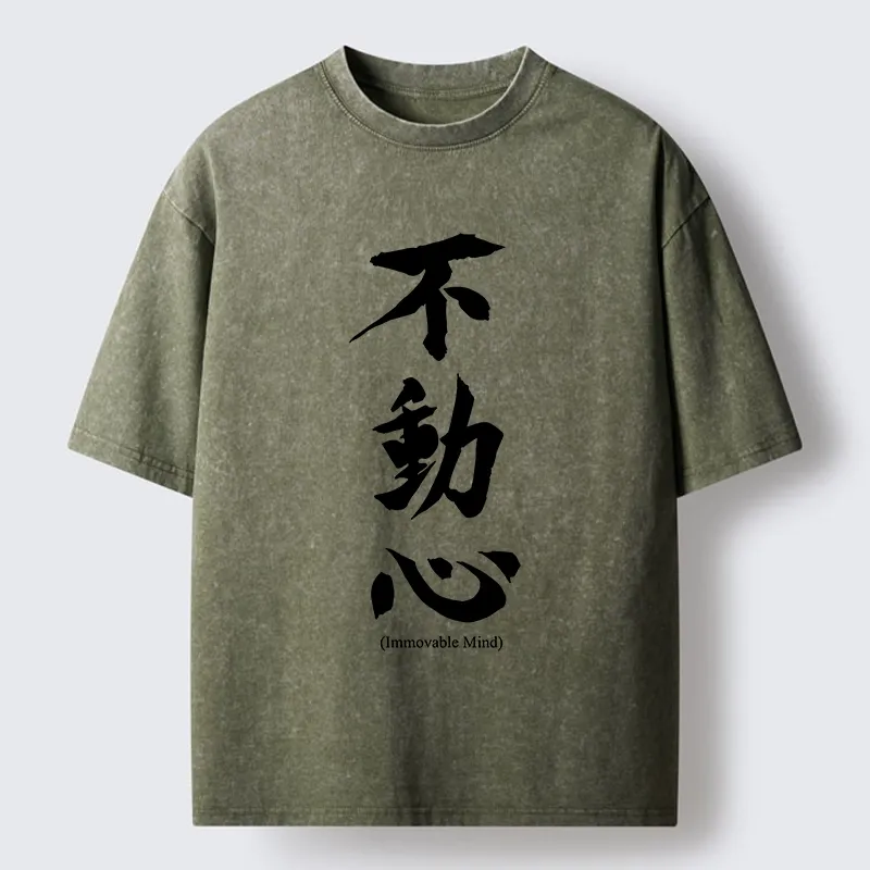 Tokyo-Tiger Fudoshin Art Of Calm Mind Washed T-Shirt