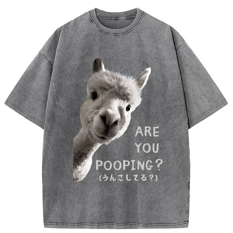 Tokyo-Tiger Are You Pooping Washed T-Shirt