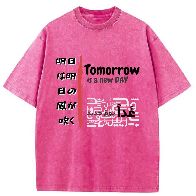 Tokyo-Tiger Japanese Proverb Washed T-Shirt