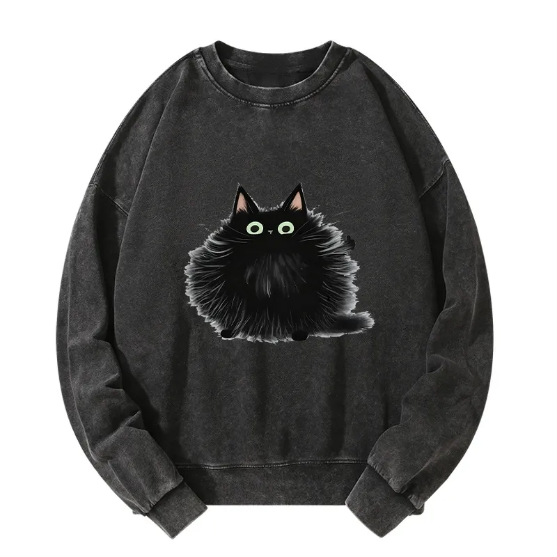 Tokyo-Tiger Cat's Approval Washed Sweatshirt