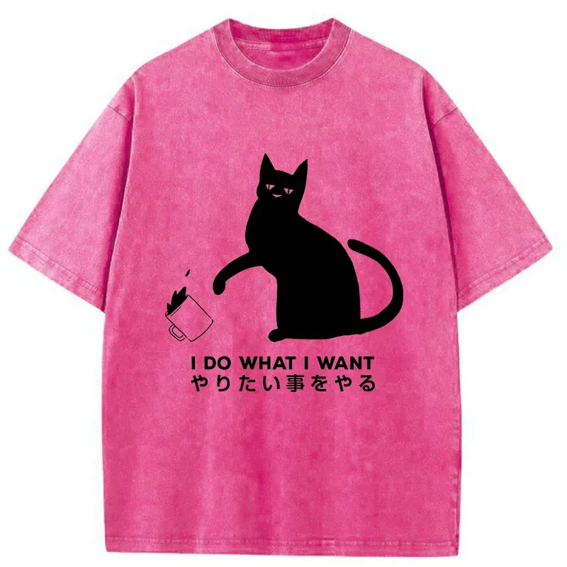 Tokyo-Tiger Tsundere Cat Japan Washed T-Shirt