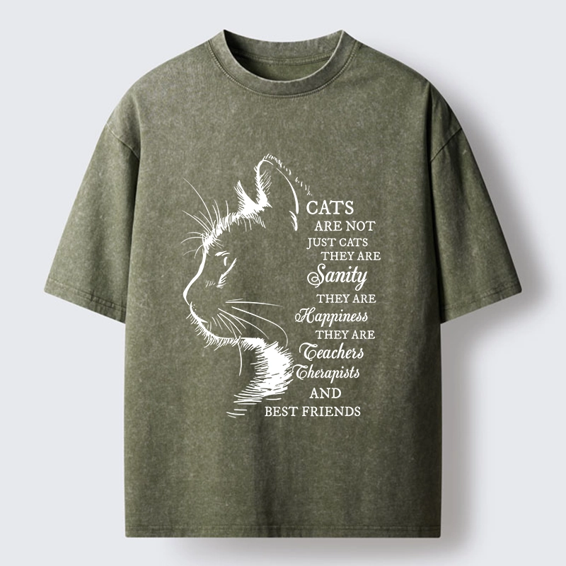 Tokyo-Tiger Cat Best Friend Washed T-Shirt