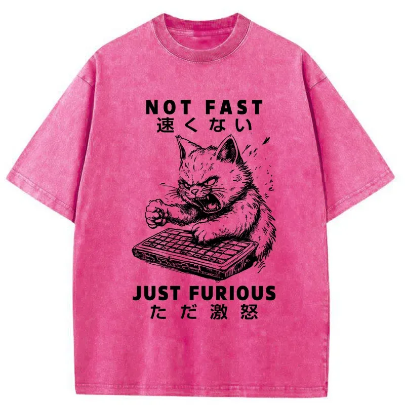 Tokyo-Tiger Not Fast Just Furious Washed T-Shirt