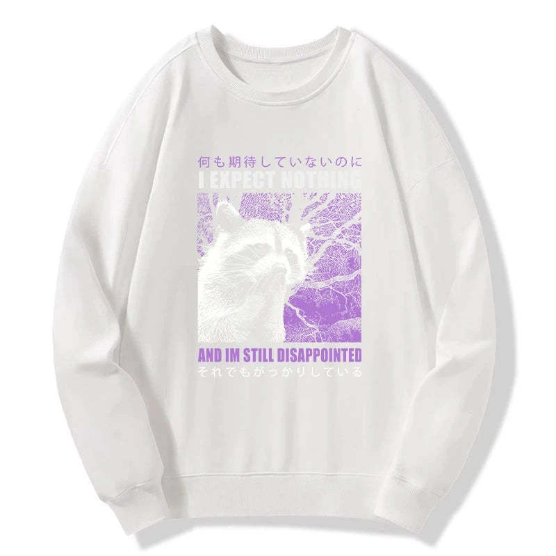 Tokyo-Tiger Disappointed Raccoon Japanese Sweatshirt