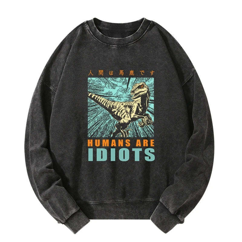 Tokyo-Tiger Mocking Dinosaurs Japanese Washed Sweatshirt Sale
