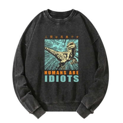 Tokyo-Tiger Mocking Dinosaurs Japanese Washed Sweatshirt