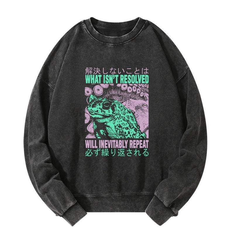 Tokyo-Tiger What Ist Resolved Forg Washed Sweatshirt