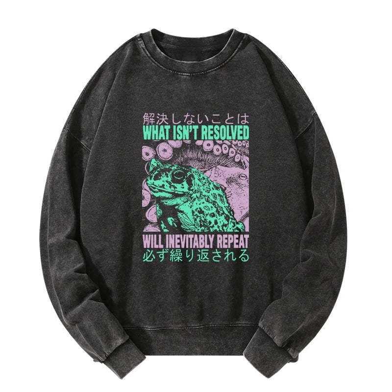 Tokyo-Tiger What Ist Resolved Forg Washed Sweatshirt Sale