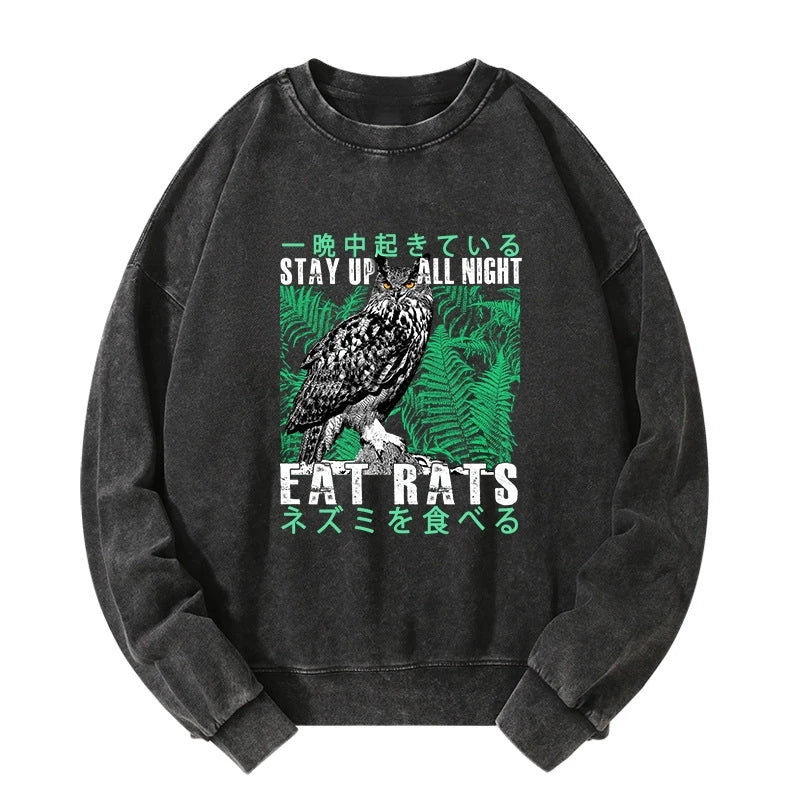 Tokyo-Tiger Owls Prey On Rats At Night Washed Sweatshirt