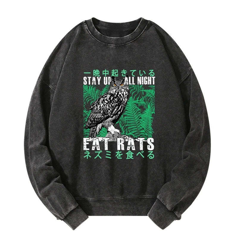 Tokyo-Tiger Owls Prey On Rats At Night Washed Sweatshirt Sale
