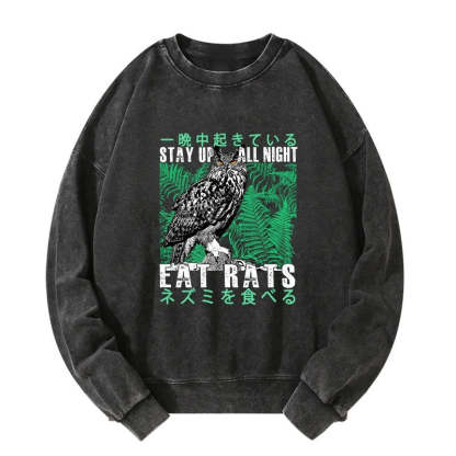 Tokyo-Tiger Owls Prey On Rats At Night Washed Sweatshirt