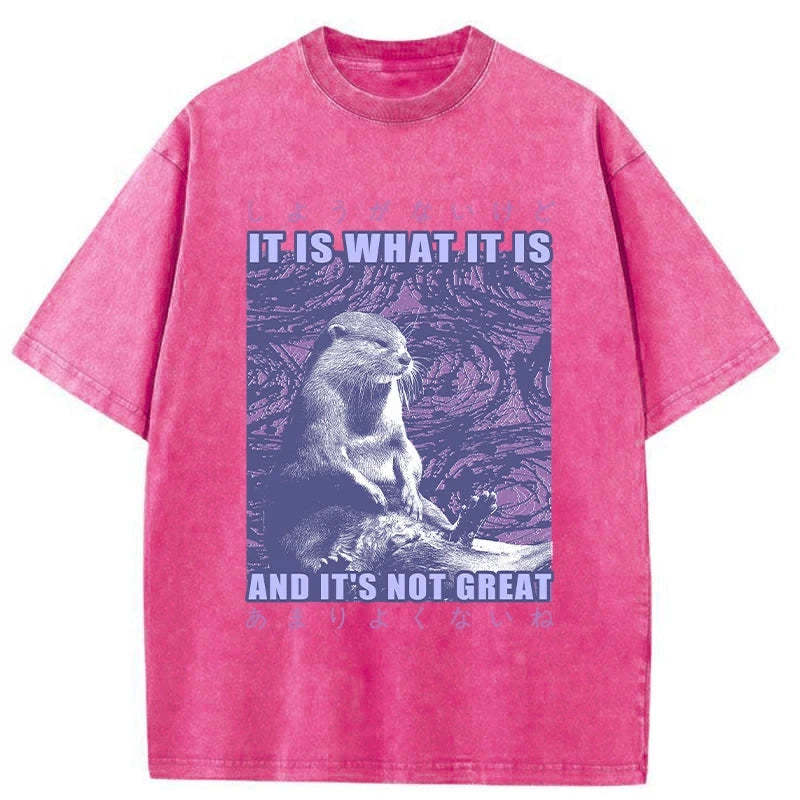 Tokyo-Tiger Frustrated Otter Japanese Washed T-Shirt