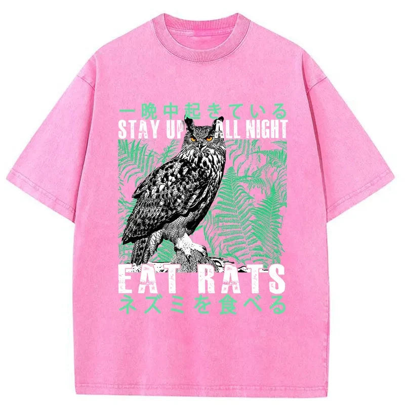 Tokyo-Tiger Owls Prey On Rats At Night Washed T-Shirt