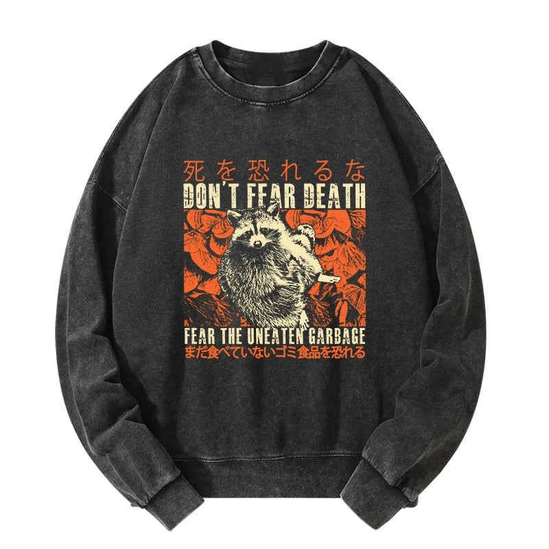 Tokyo-Tiger Timid Raccoon Japanese Washed Sweatshirt