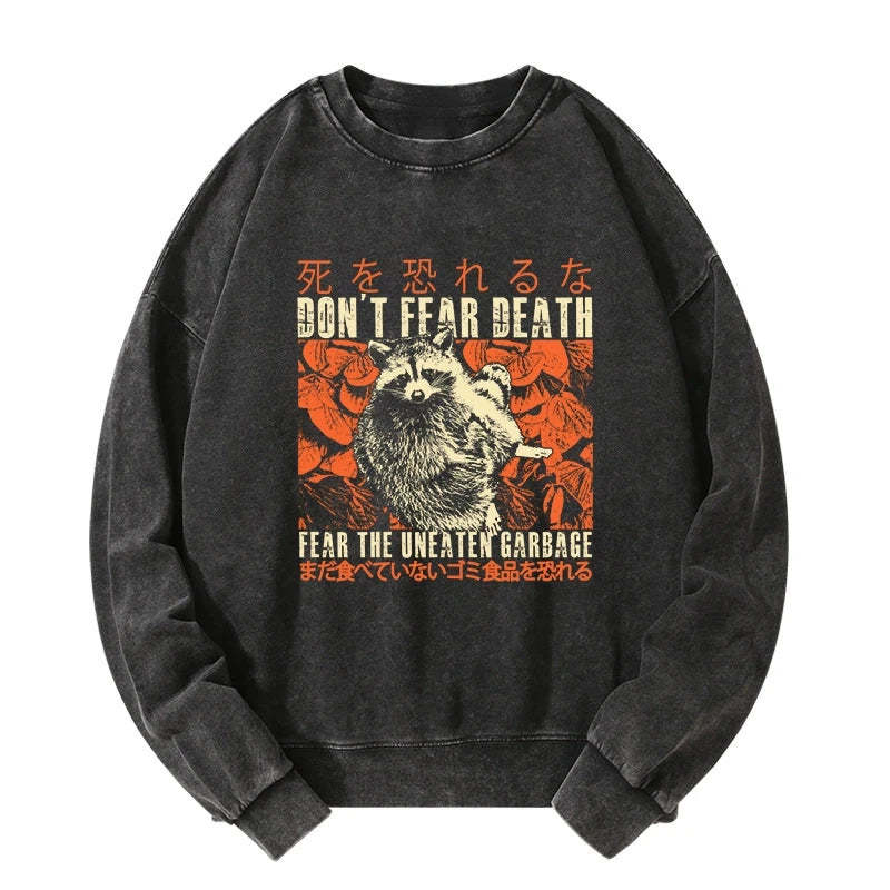 Tokyo-Tiger Timid Raccoon Japanese Washed Sweatshirt Sale