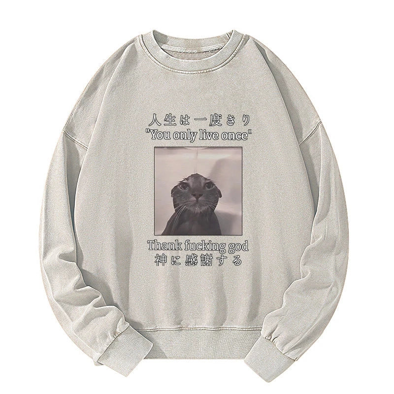 Tokyo-Tiger Funny Melancholy Cat Washed Sweatshirt