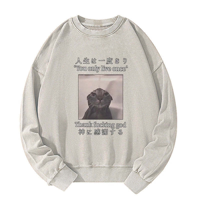 Tokyo-Tiger Funny Melancholy Cat Washed Sweatshirt