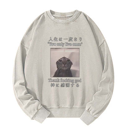 Tokyo-Tiger Funny Melancholy Cat Washed Sweatshirt