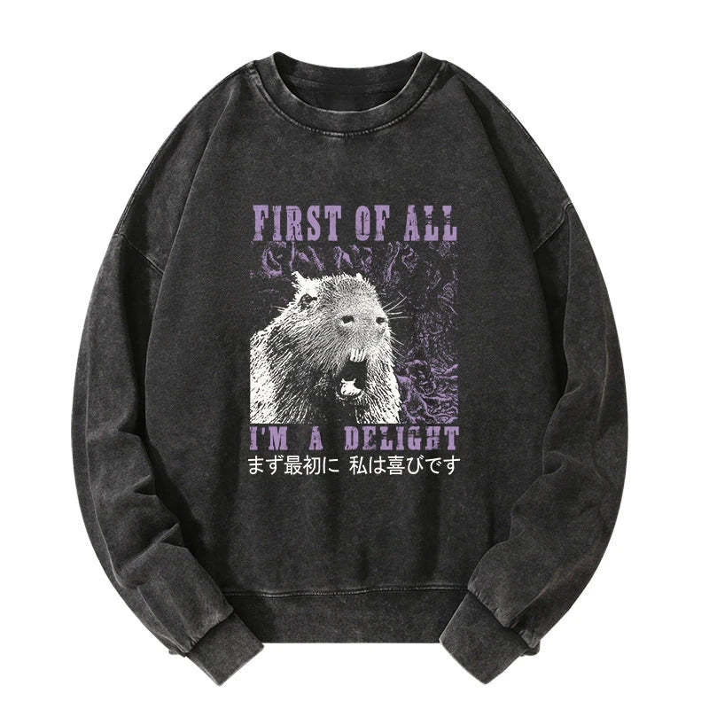 Tokyo-Tiger First Of All I'm A Delight Washed Sweatshirt Sale