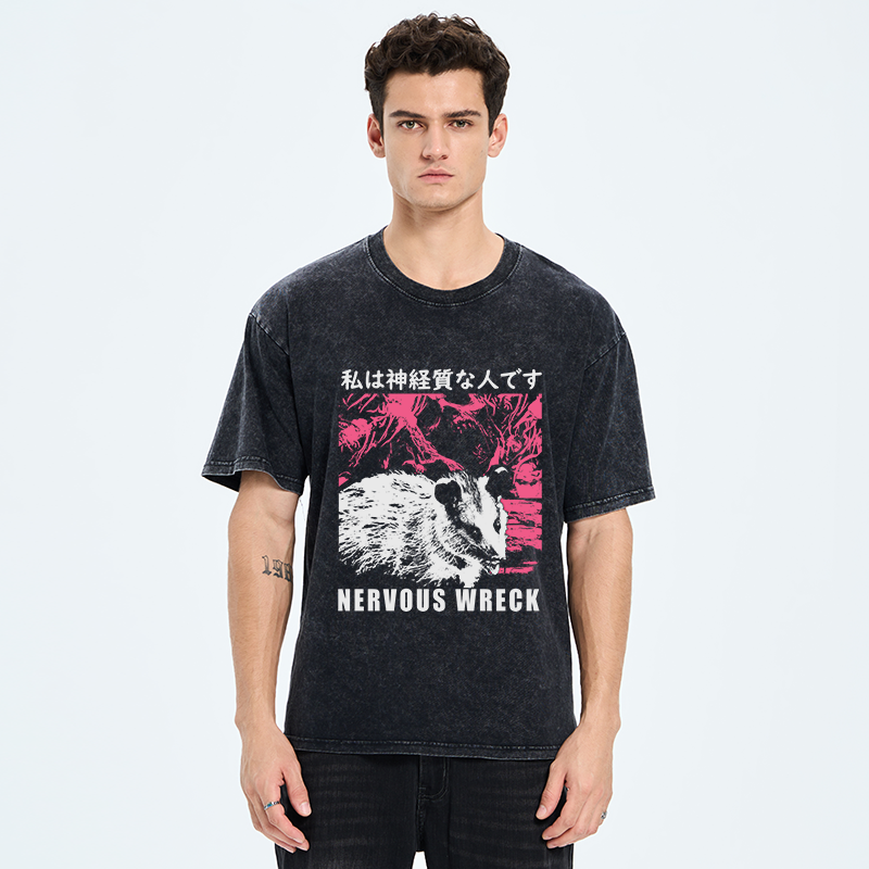 Tokyo-Tiger Nervous Wreck Washed T-Shirt