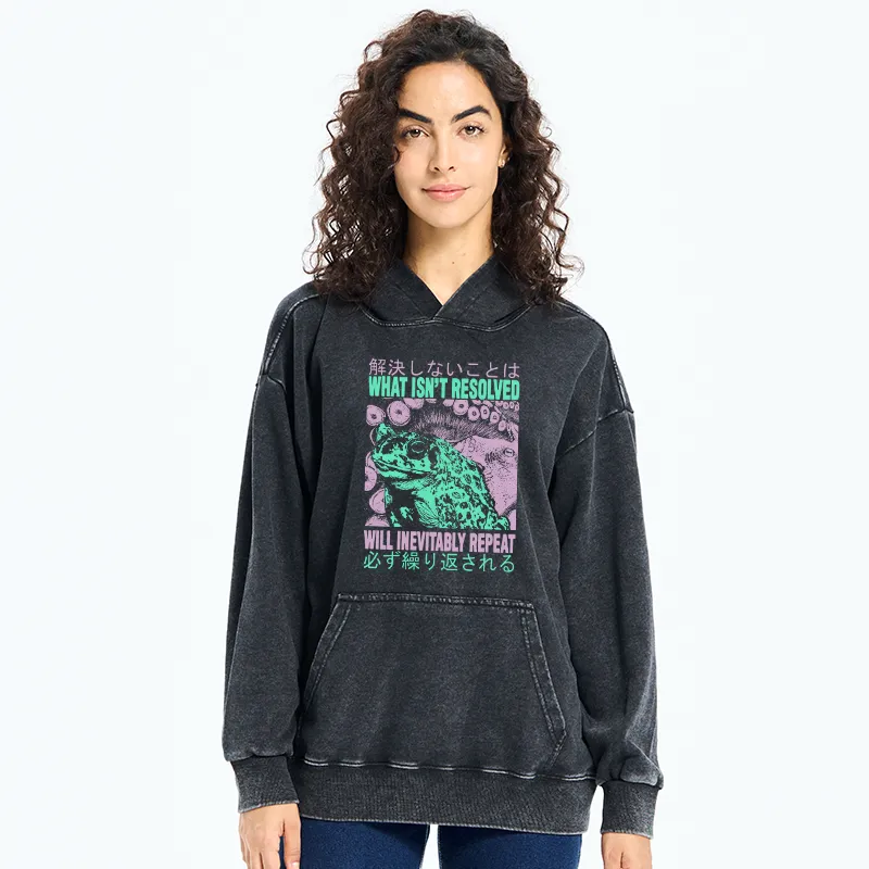 Tokyo-Tiger What Ist Resolved Forg Washed Hoodie