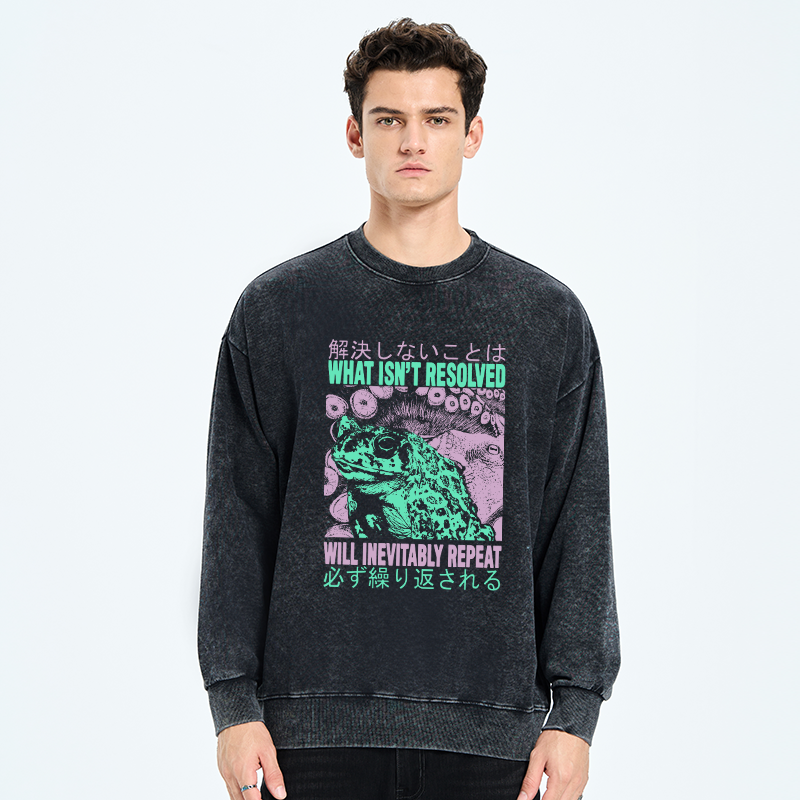 Tokyo-Tiger What Ist Resolved Forg Washed Sweatshirt