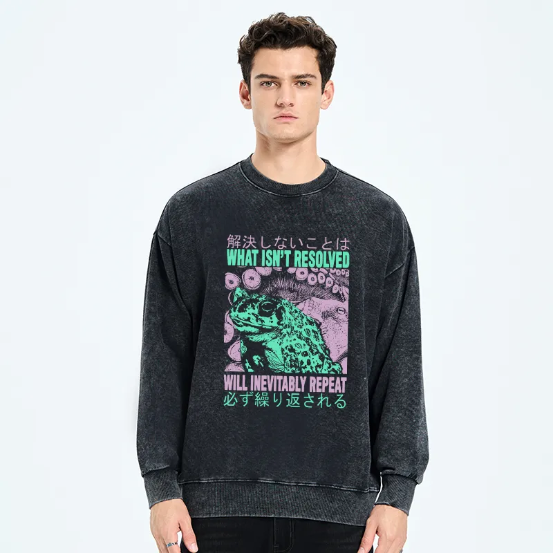 Tokyo-Tiger What Ist Resolved Forg Washed Sweatshirt