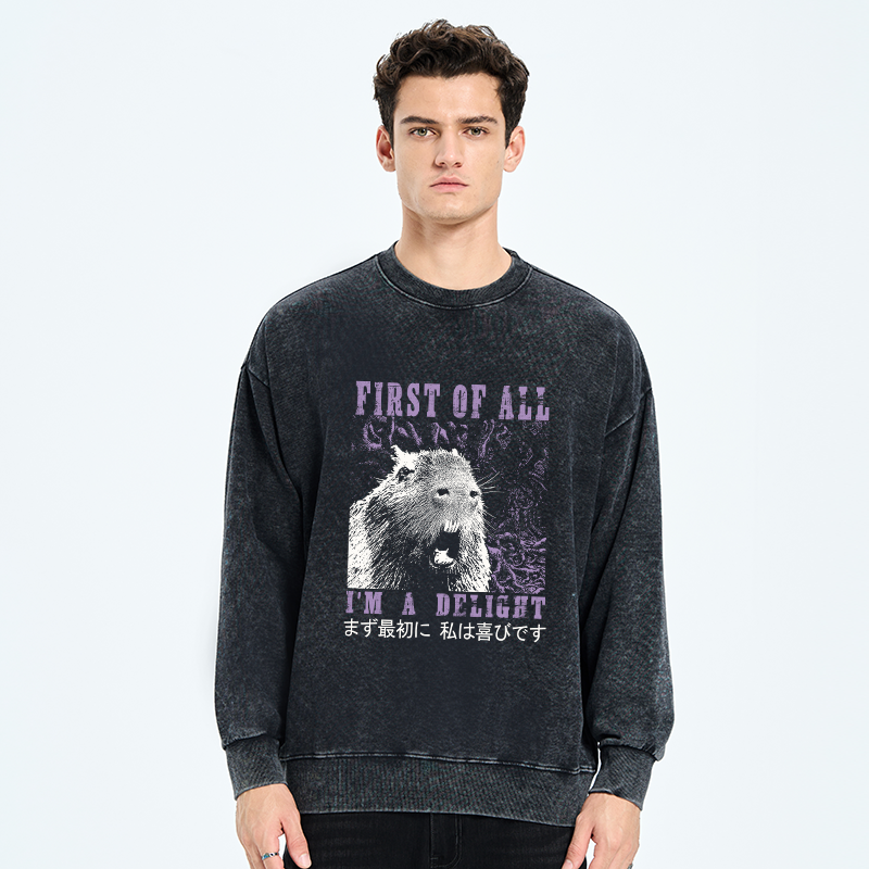 Tokyo-Tiger First Of All I'm A Delight Washed Sweatshirt