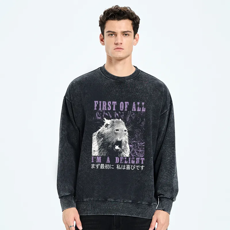 Tokyo-Tiger First Of All I'm A Delight Washed Sweatshirt