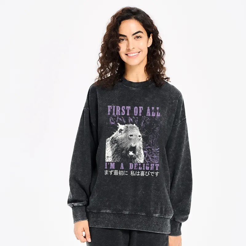 Tokyo-Tiger First Of All I'm A Delight Washed Sweatshirt