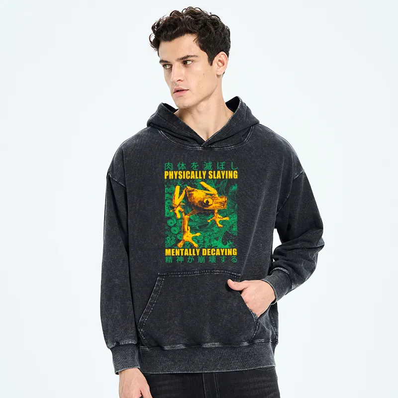 Tokyo-Tiger Physically Slaying Mentally Decaying Washed Hoodie
