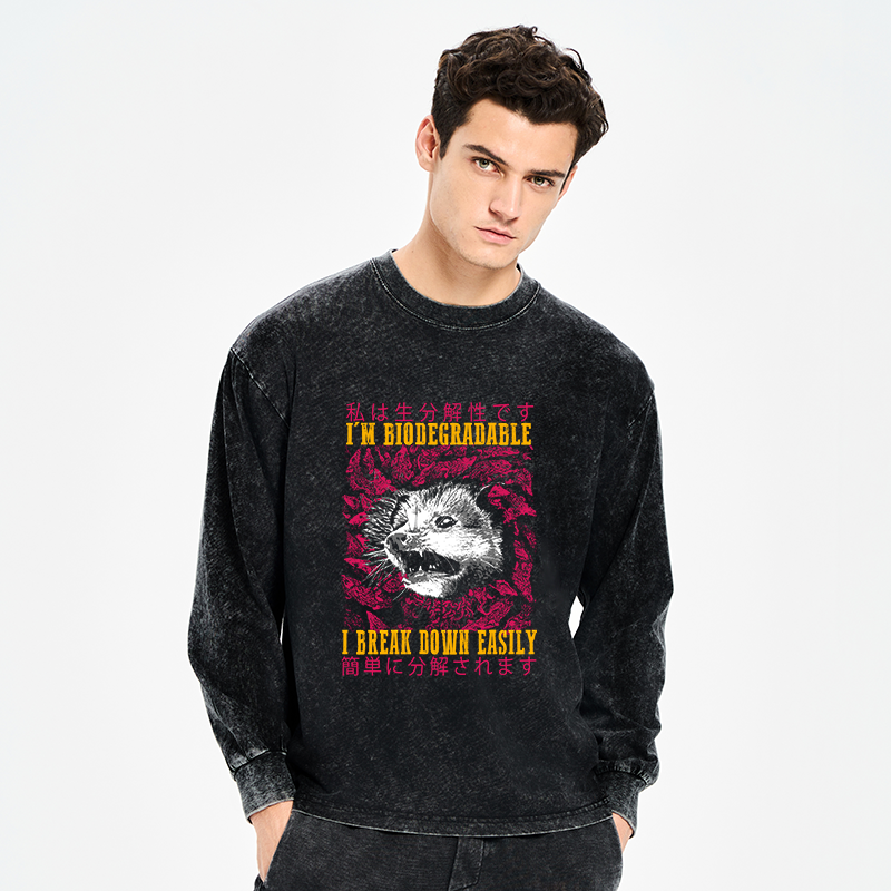 Tokyo-Tiger An Easily Breakable Opossum Washed Long Sleeve T-Shirt