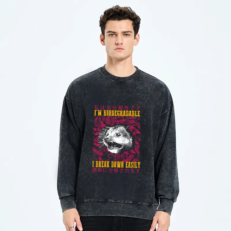 Tokyo-Tiger An Easily Breakable Opossum Washed Sweatshirt