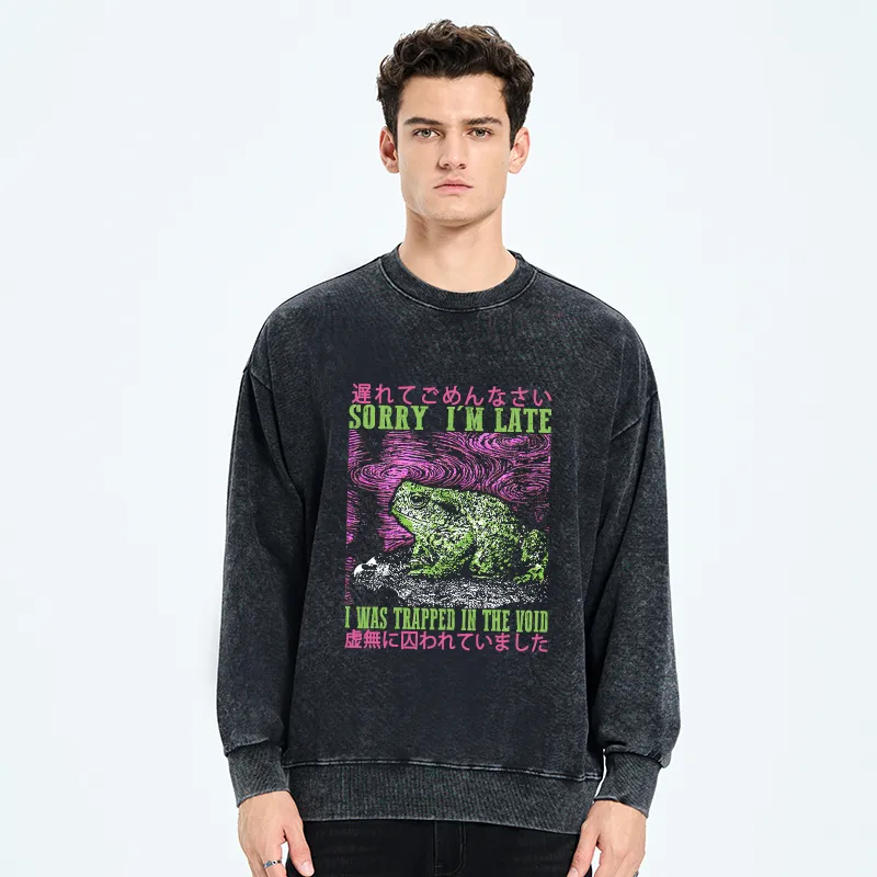 Tokyo-Tiger A Frog In Distress Japanese Washed Sweatshirt