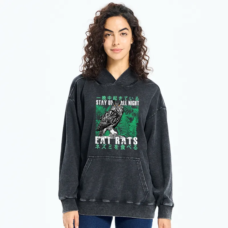 Tokyo-Tiger Owls Prey On Rats At Night Washed Hoodie