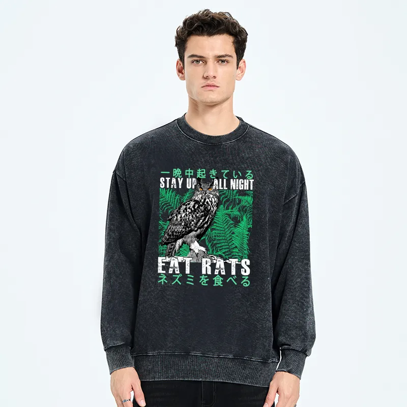 Tokyo-Tiger Owls Prey On Rats At Night Washed Sweatshirt