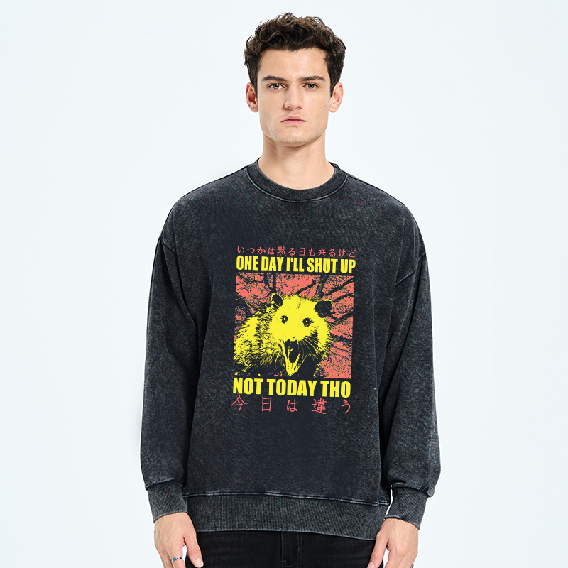 Tokyo-Tiger Negative Possum Japanese Washed Sweatshirt