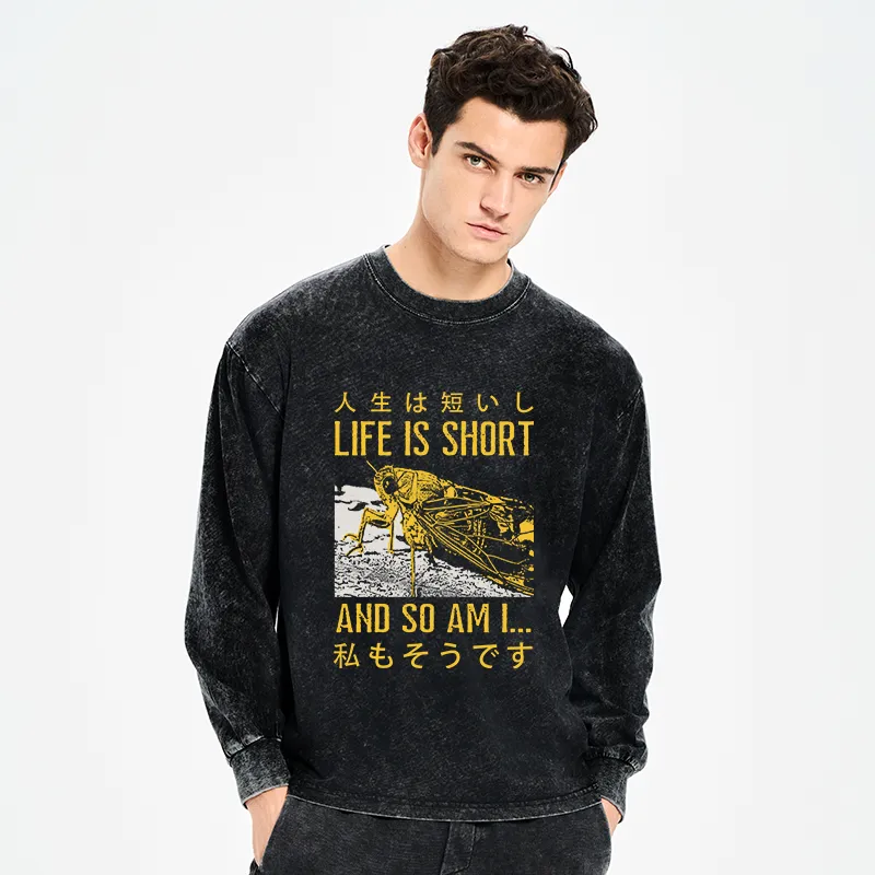 Tokyo-Tiger A Grasshopper With A Short Life Washed Long Sleeve T-Shirt