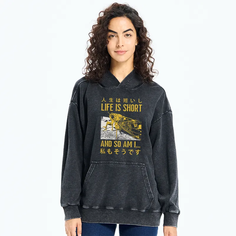 Tokyo-Tiger A Grasshopper With A Short Life Washed Hoodie