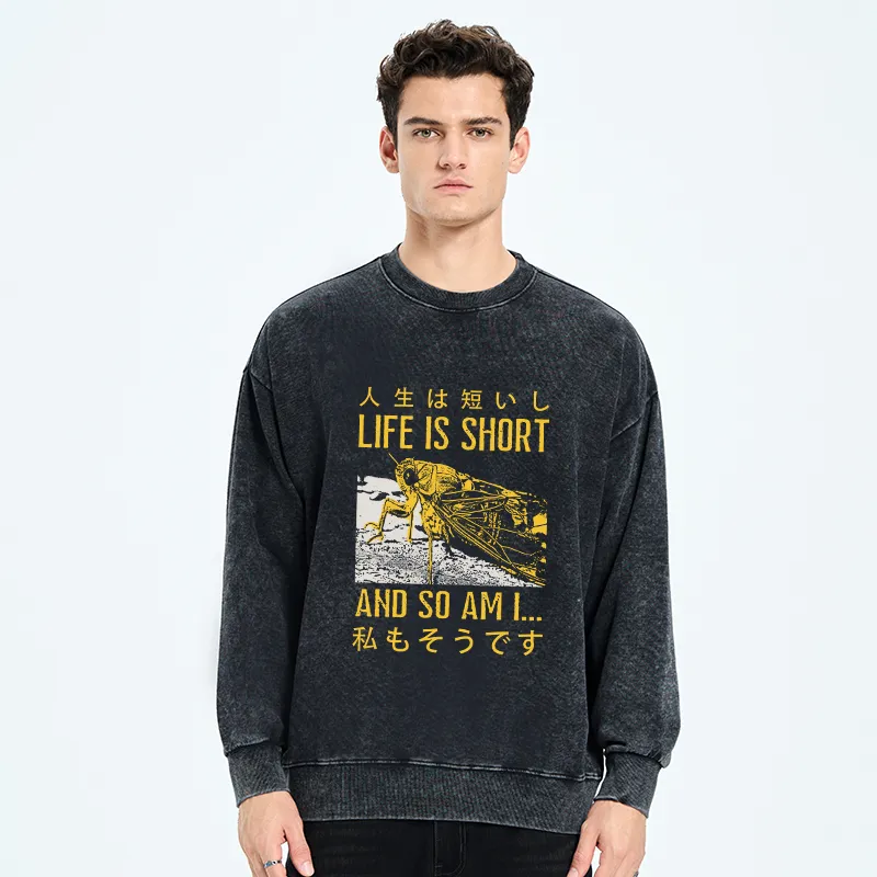 Tokyo-Tiger A Grasshopper With A Short Life Washed Sweatshirt