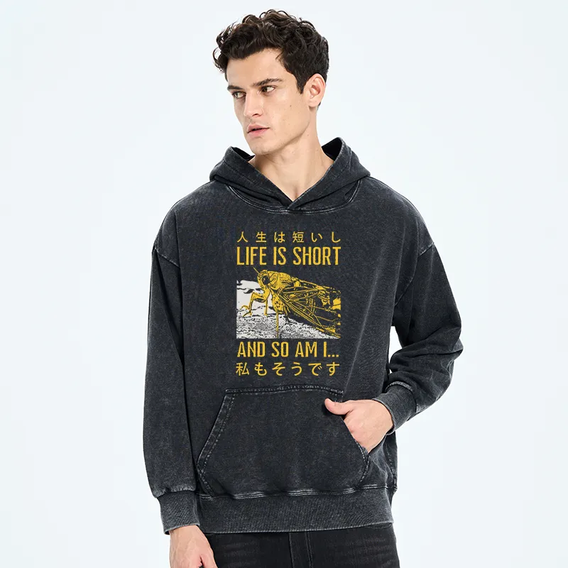 Tokyo-Tiger A Grasshopper With A Short Life Washed Hoodie