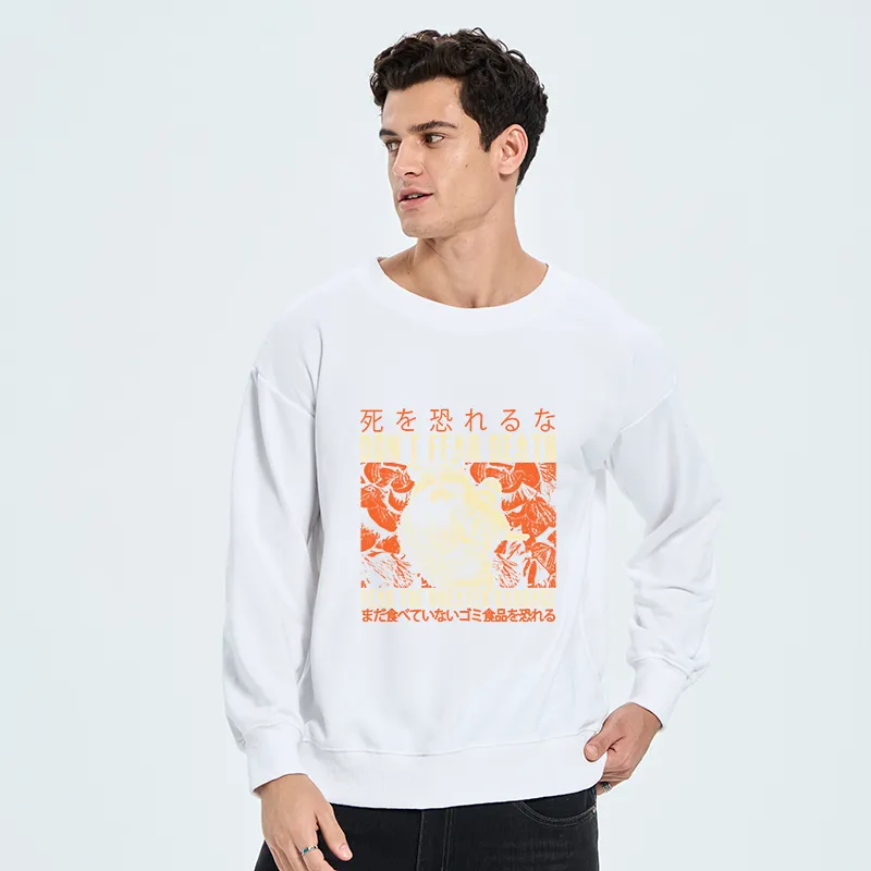Tokyo-Tiger Timid Raccoon Japanese Sweatshirt