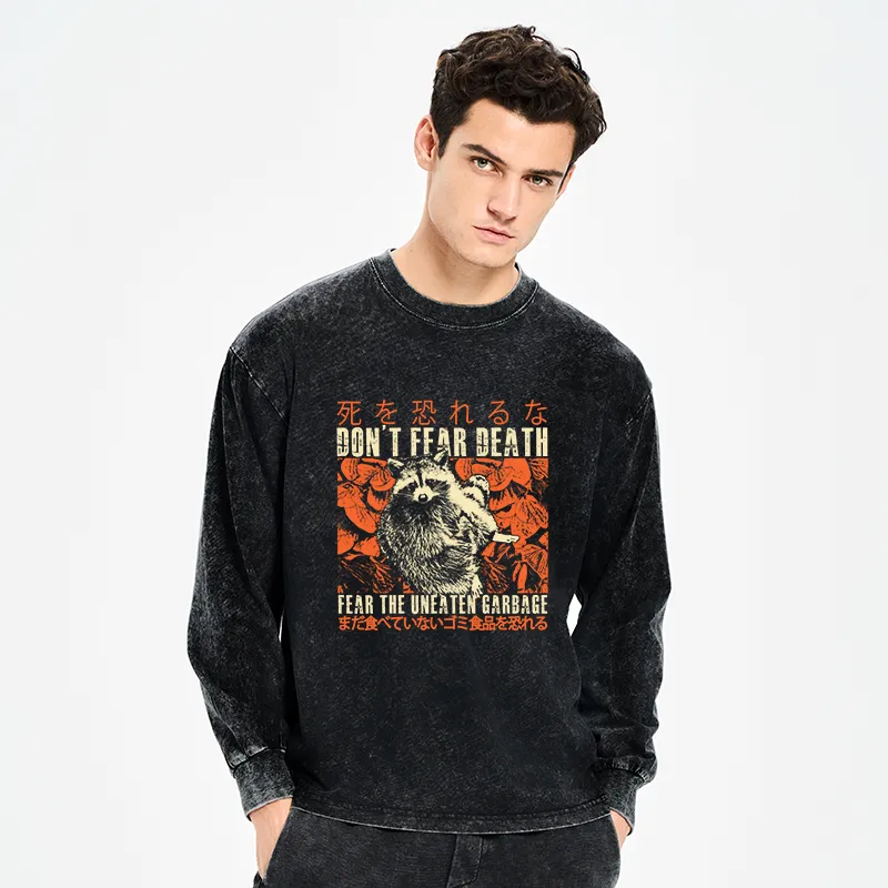 Tokyo-Tiger Timid Raccoon Japanese Washed Long Sleeve T-Shirt