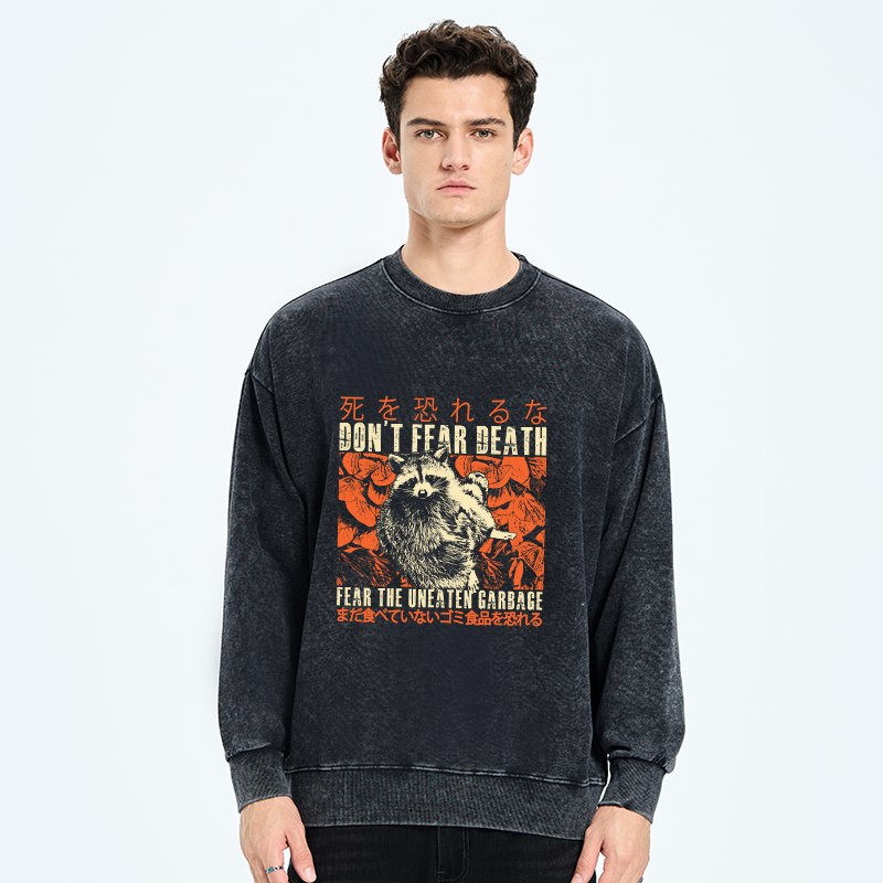 Tokyo-Tiger Timid Raccoon Japanese Washed Sweatshirt