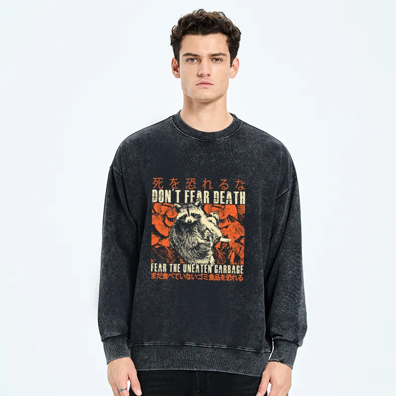 Tokyo-Tiger Timid Raccoon Japanese Washed Sweatshirt