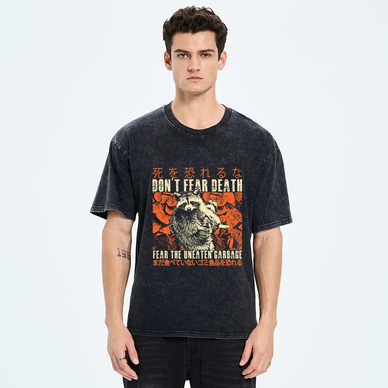 Tokyo-Tiger Timid Raccoon Japanese Washed T-Shirt
