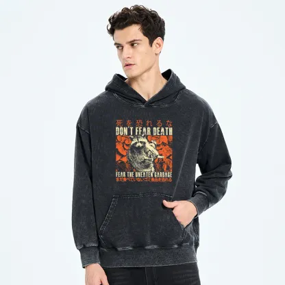 Tokyo-Tiger Timid Raccoon Japanese Washed Hoodie